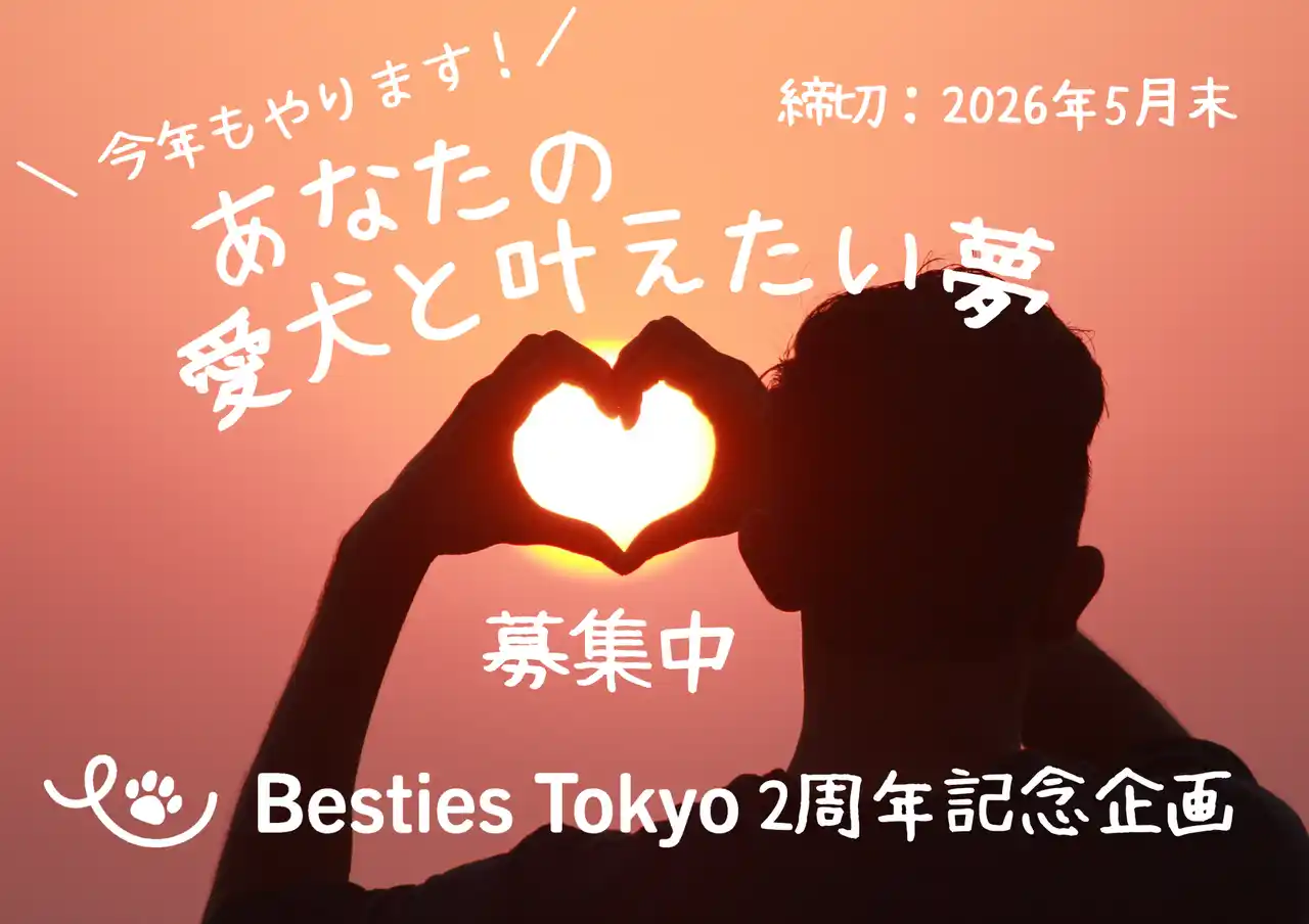 【株式会社BestiesTokyo】 「愛犬と話してみたい」その夢、実現しました。Besties Tokyo「愛犬と叶えたい夢」プロジェクトを5月末まで延長～今年は“日常を一緒に楽しみたい”応募が増加～