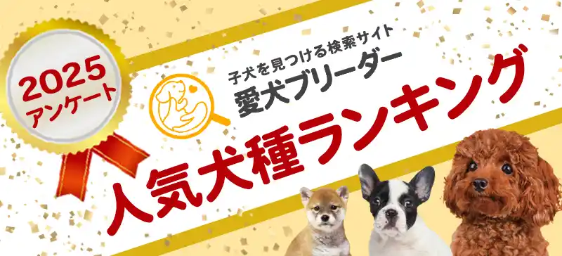 2025年人気犬種ランキング！『愛犬ブリーダー』が好きな犬種のアンケート結果を公開！