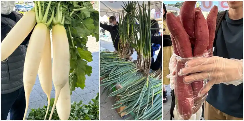 農産物詰め放題リレー※写真は過去に開催した際の様子