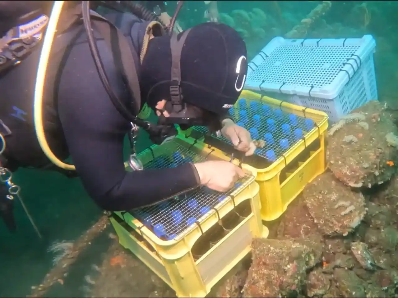【沼津市役所】 東駿河湾の豊かな自然で熟成されたクラフトビールを楽しもう！静岡のクラフトビールを様々なスタイルで楽しむビアイベントを開催します！
