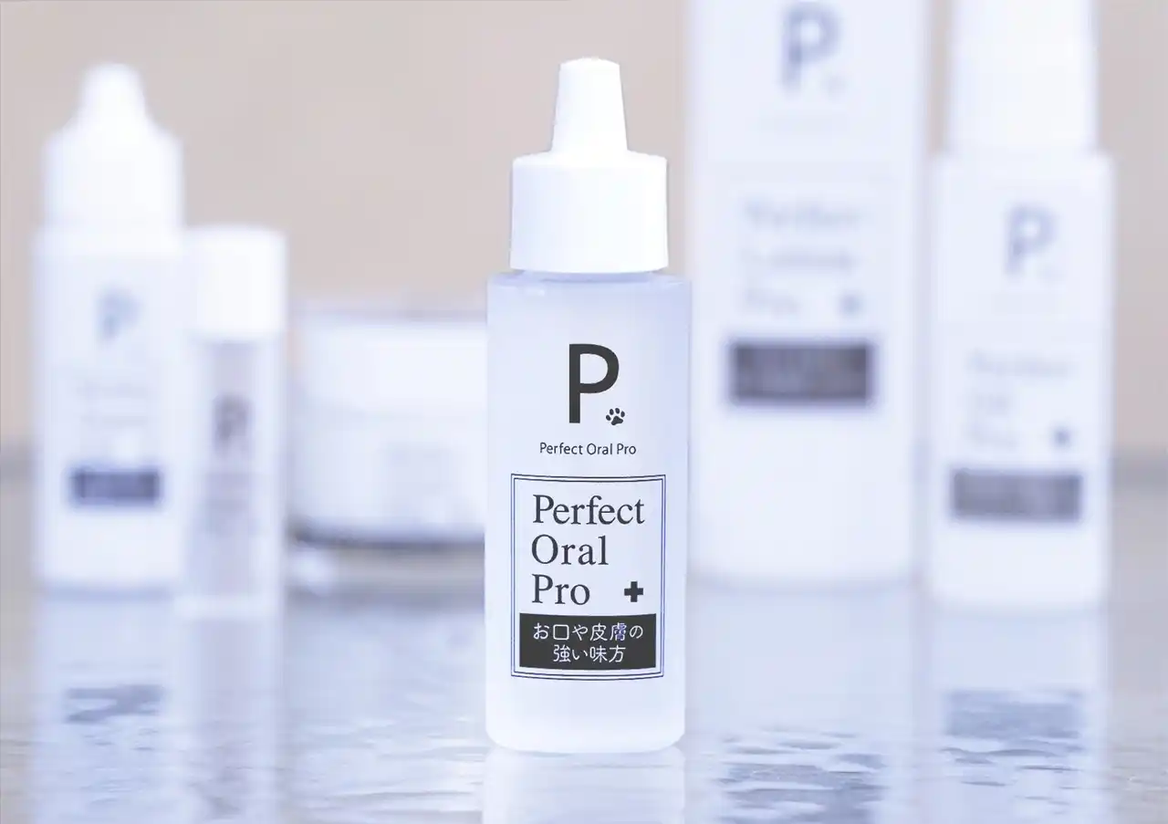 【みがかない歯みがき】