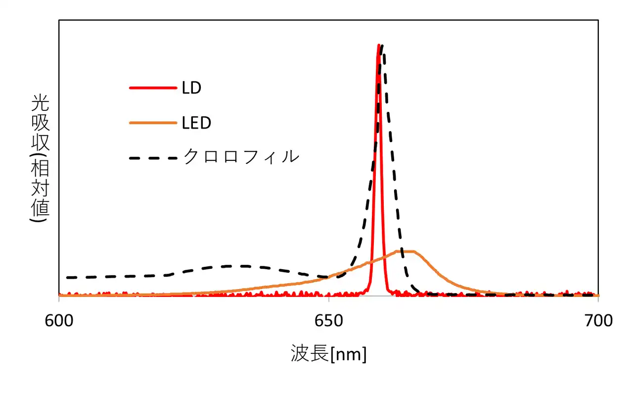 【スタンレー電気株式会社】 スタンレー電気、東京大学と赤色レーザーダイオードによる植物成長促進を世界で初めて実証