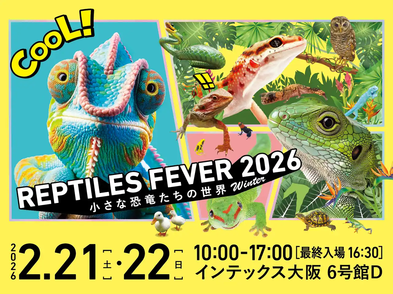 【テレビ大阪株式会社】 お得な前売券販売開始！爬虫類・エキゾチックアニマルイベント『レプタイルズフィーバー2026 Winter』開催決定！