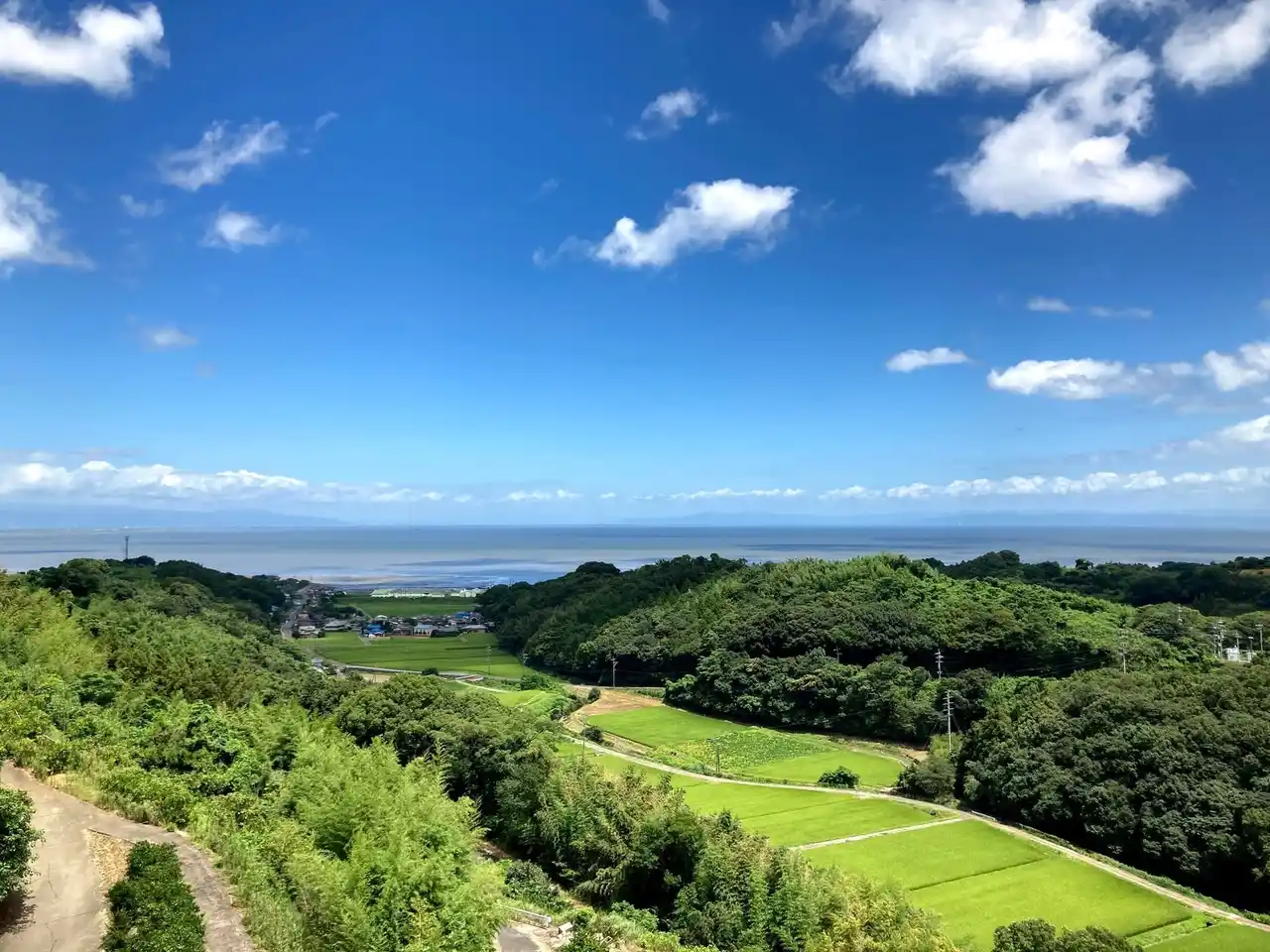 【株式会社　和多屋別荘】 佐賀の農園とタッグ。樹上完熟みかんを五感で楽しむ体験型POP UPを開催!