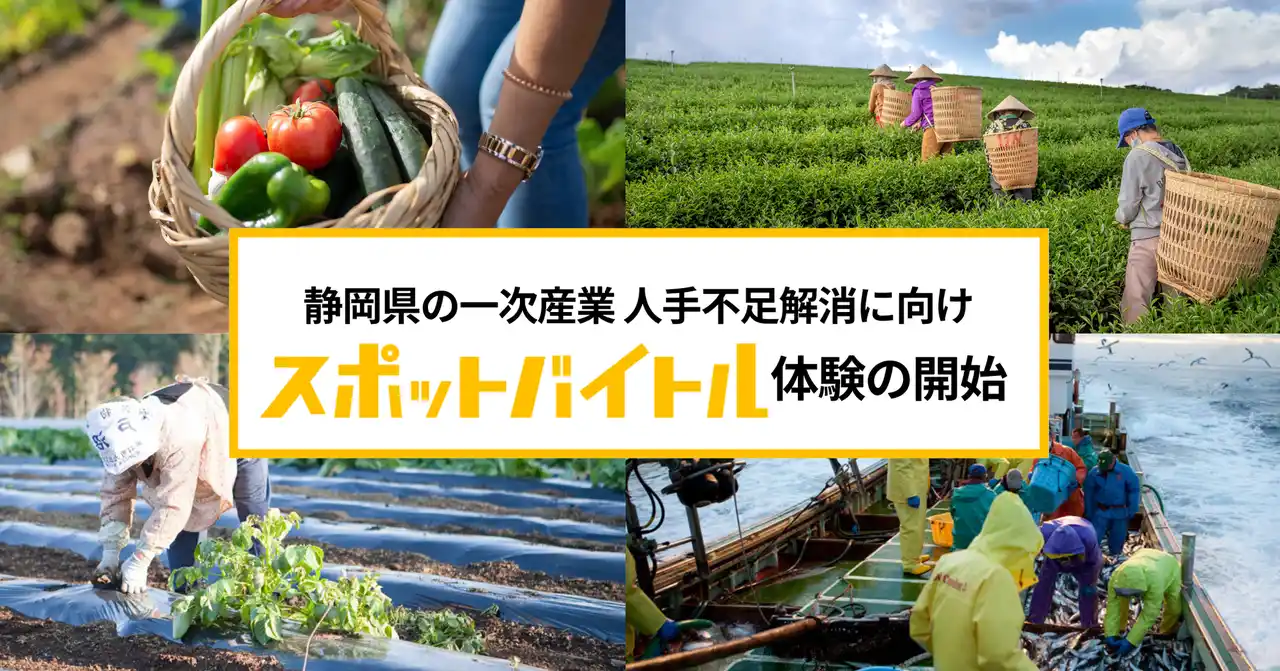 スポバ体験を通じて静岡県の一次産業に新たな担い手創出を。ディップ×SBSラジオ「スポットバイトル体験企画」7月24日より開始
