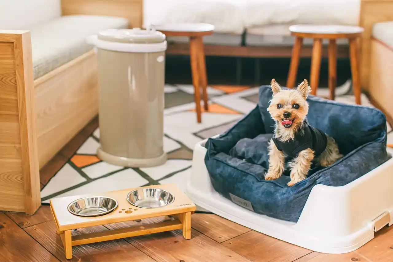 【株式会社スティルアン】 愛犬と一緒に"日本一おいしいグランピング"を！浜名湖パームスプリングスのペット同伴プランが1周年記念価格で登場！