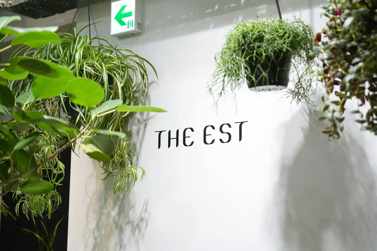 暮らしをアップグレード100種のグリーンが揃う「THE EST」1周年で再起動！“1点からでも買える” “プロの知見を気軽に相談”が可能にインテリアを彩る「観葉盆栽」も数量限定で登場！
