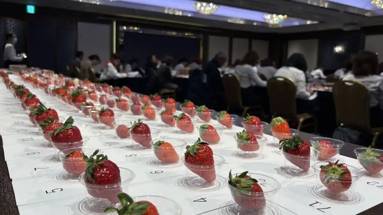 【一般社団法人日本野菜ソムリエ協会】 ≪第4回全国いちご選手権≫野菜ソムリエが選んだ、おいしい「いちご」NO.１が決定！栃木県真岡市『とちあいか』”まりちゃんちのいちご畑”が日本一に輝く！