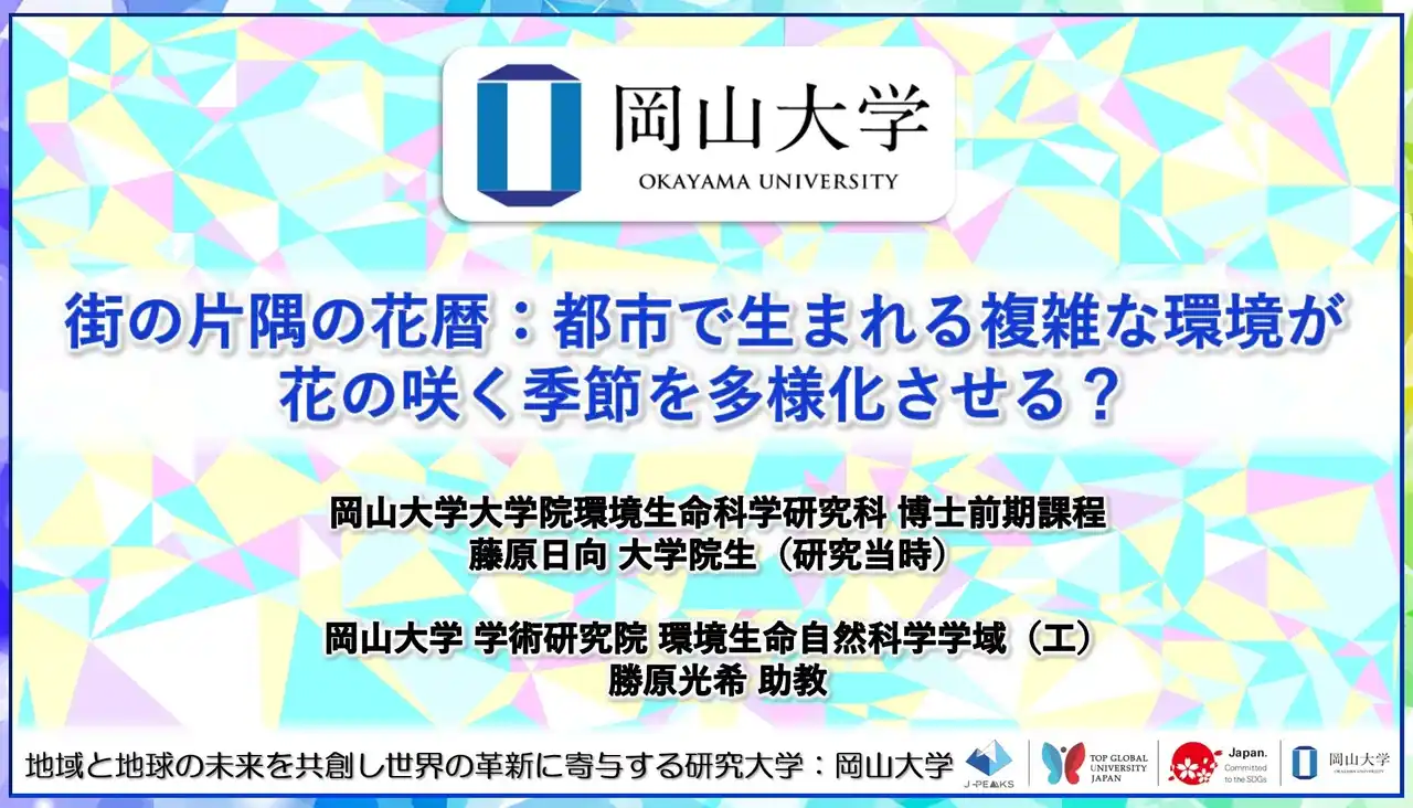 【岡山大学】街の片隅の花暦:都市で生まれる複雑な環境が花の咲く季節を多様化させる?