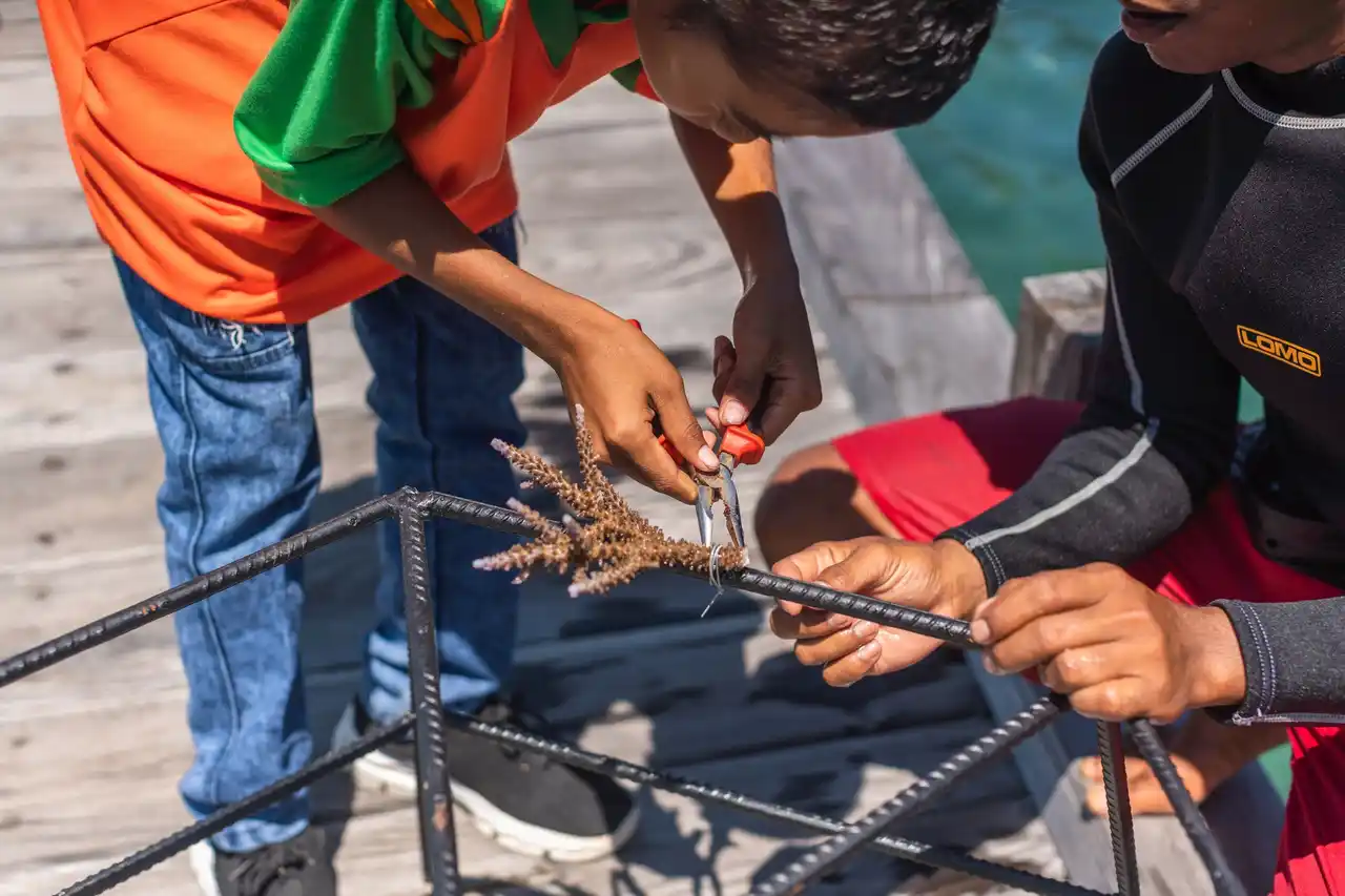 【AYANA Hospitality】 アヤナ コモド ワエチチュビーチ、コモドへの玄関口で自然保護と地域社会への貢献をリード