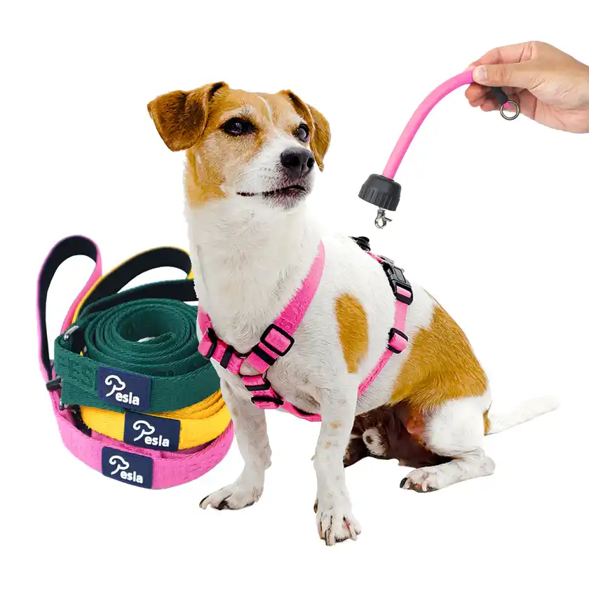 小型犬・中型犬向け「PeslaノンタングルH型ハーネス3点セット」Amazonにて9月限定特別価格キャンペーンを実施！