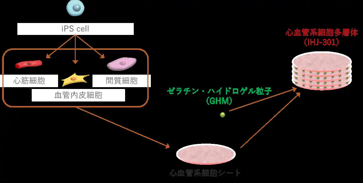 iHeart Japan株式会社、シリーズＤで約８億円を調達し、拡張型心筋症の治験を推進