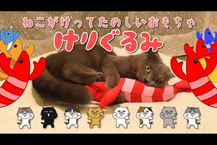 【DLE】 中毒性の高いBGMにあわせてかわいい猫のけりけり映像が流れる！ペティオのけりぐるみCMをDLEが制作しました