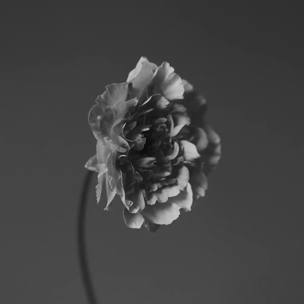 【The Orchard Japan】 世界で活躍するソウルシンガーNao Yoshiokaが、Braxton Cook、Bnnnyhunnaとの共作「You Got to Feel It」を3月20日にリリース