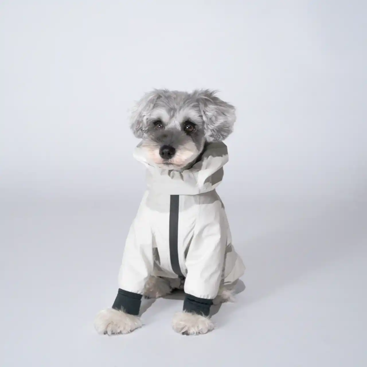【MNインターファッション株式会社】 STANDING ON THE BLUE×デザインエフ｜人気コラボ第2弾、シュナウザー専用「Ultra Rain Suit」発売