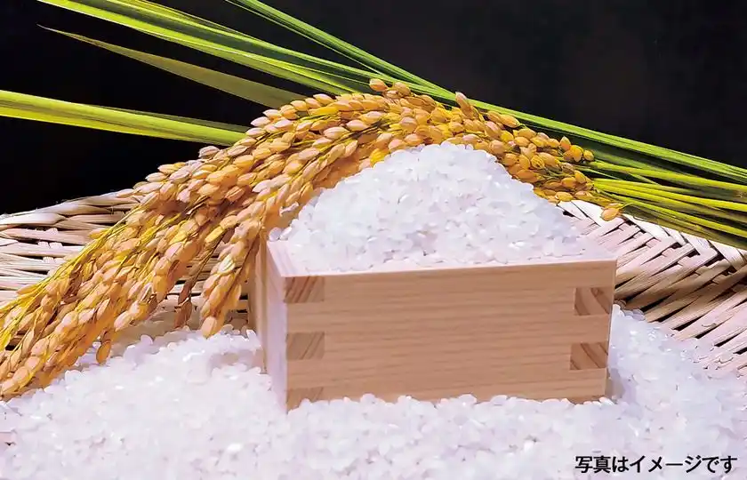 「新米すくい放題」500円(税込)