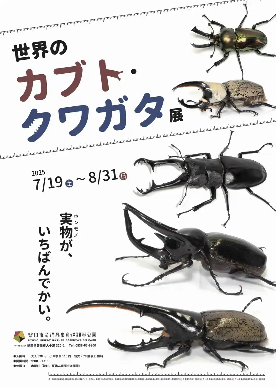 【磐田市役所】子どもたちに大人気のカブトムシ、クワガタムシが世界から大集合「世界のカブト・クワガタ展」