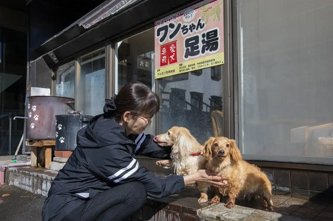 【野口観光マネジメント株式会社】 ホロホロ山荘　ワンちゃんクラブが3周年を迎えました