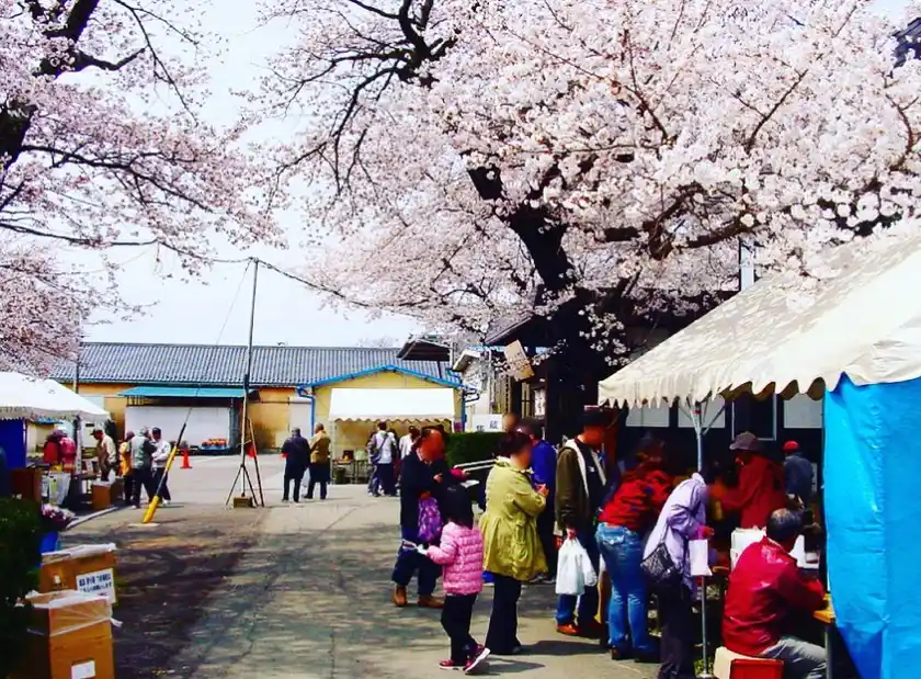 春のイベント風景