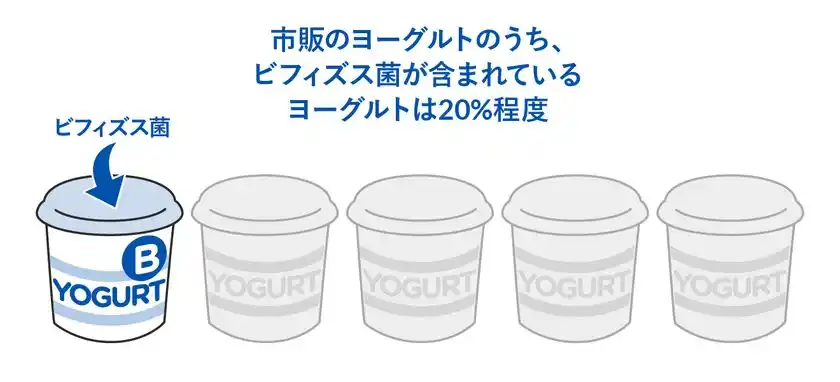 ビフィズス菌入りヨーグルトの割合