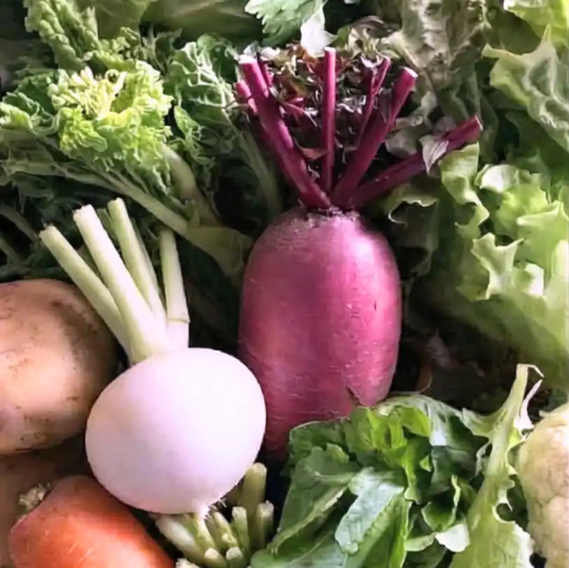 【ベジクル株式会社】 朝どれの衝撃。「ベジクル とれたて便」がスタート！