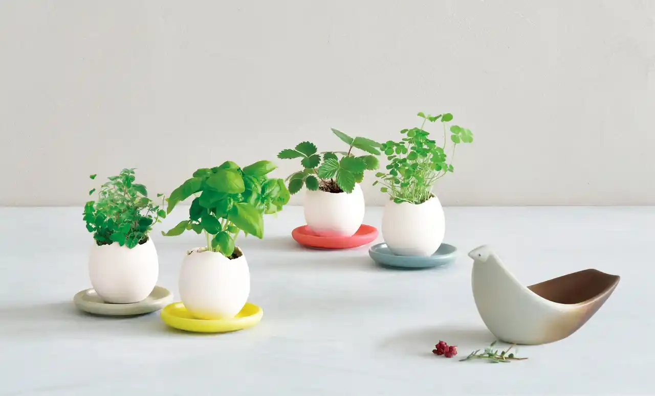 1999年誕生、栽培キット第一号「eggling」ロングセラー商品に、待望の専用ソーサー付き新モデル登場