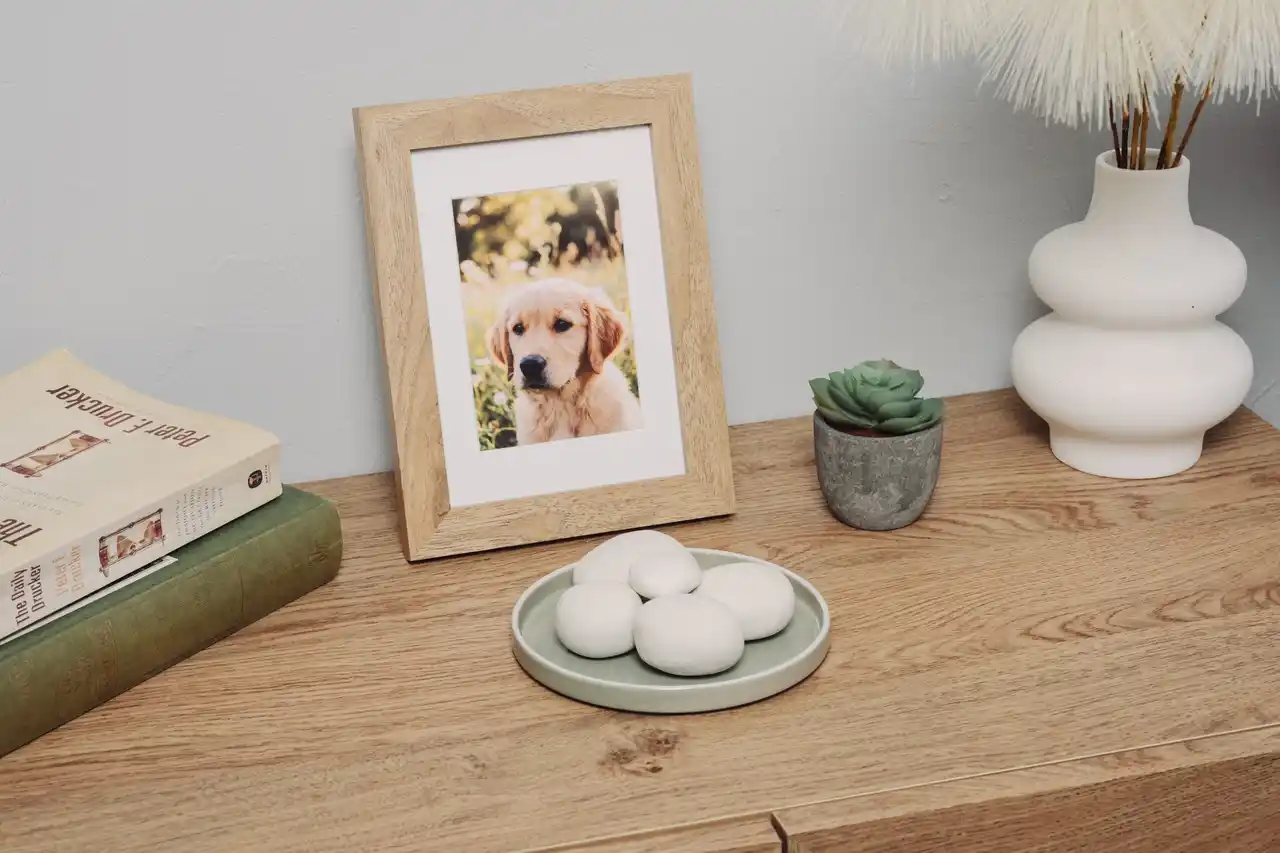 遺灰を“触れられる形”に。自然素材だけでつくる新しい手元供養「cocony」が提案する、これからの弔い文化