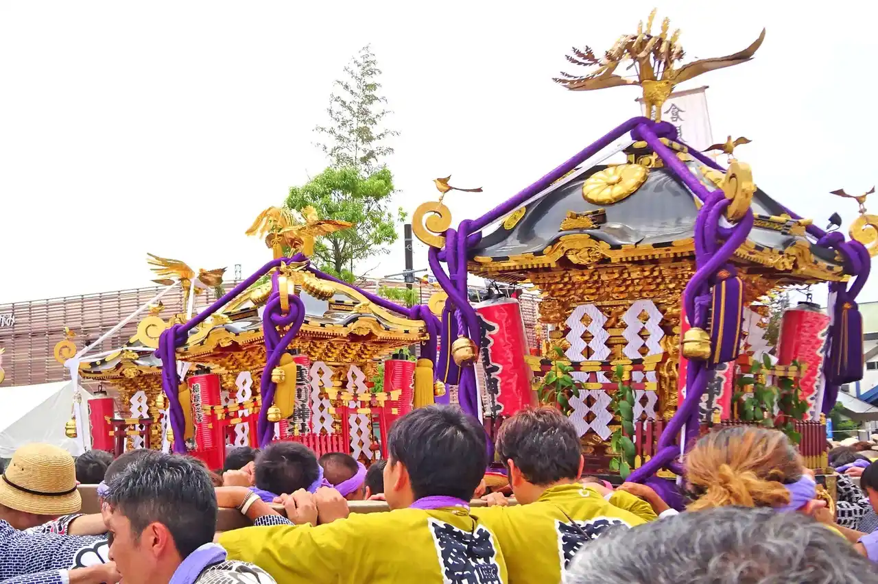 【神奈川県寒川町】夏の一大祭り 第11回「さむかわ神輿まつり」開催！
