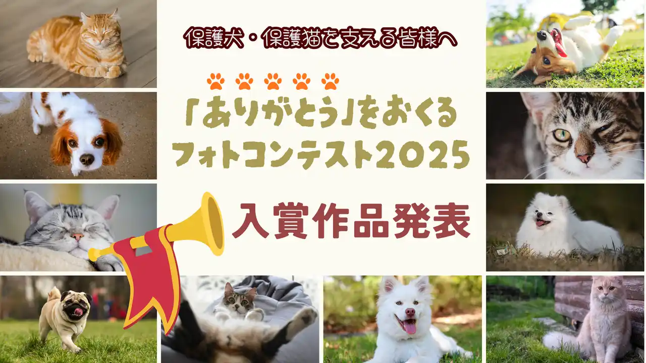 応募73頭、総投票2,794件の反響！保護犬・保護猫を支える人へ「ありがとう」を贈るフォトコンテスト2025 結果発表