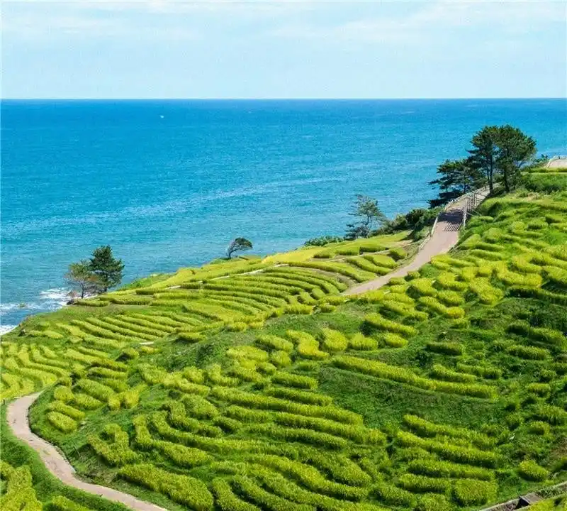 石川県能登地域における「起業伴走支援」地域おこし協力隊 3名募集