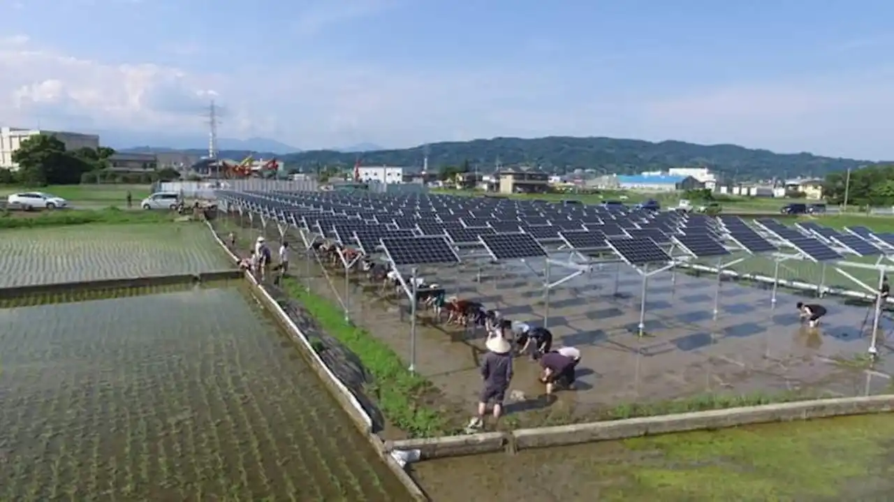 【株式会社UPDATER】 みんな電力に初の1,000世帯から応援される発電所が誕生