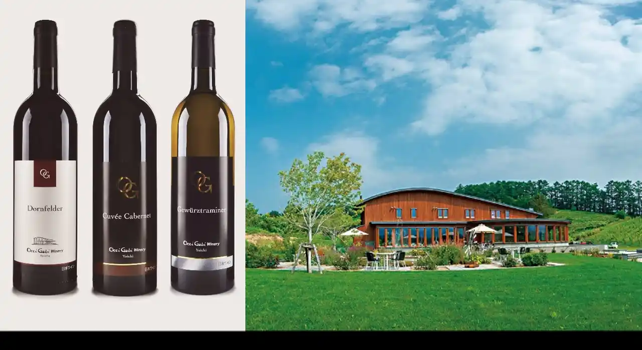 【株式会社ベルーナ】 My Wine Clubに北海道・余市のワインが初登場！オチガビワイナリー厳選３本セットを新発売