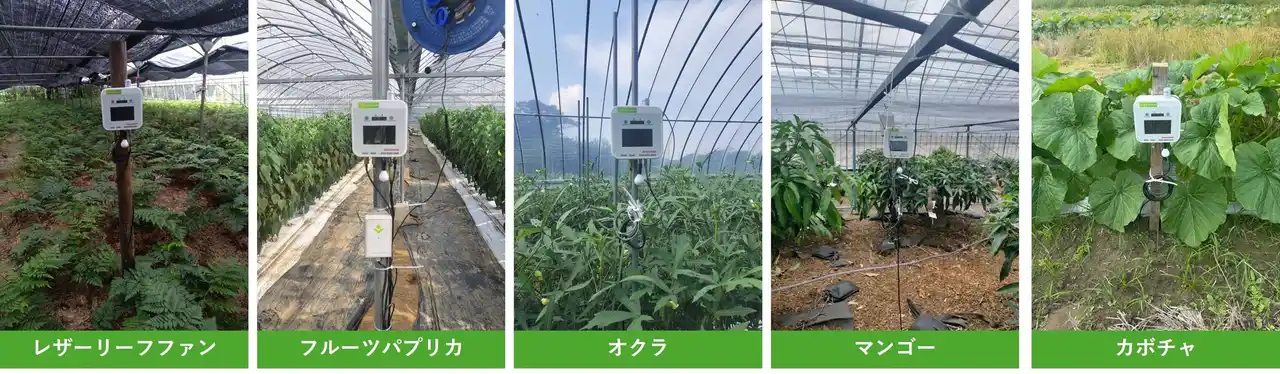 【東京エレクトロン デバイス株式会社】 鹿児島県南種子町でのIoT農業支援を展開農業AI/IoTソリューション「e-kakashi」導入で収穫量倍増の成果も