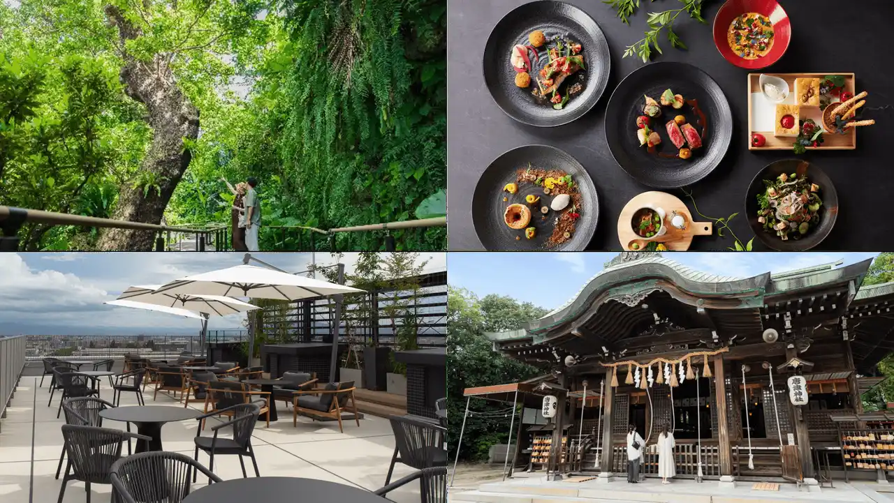 【アコー】 心と身体を整える新年へ　アコーが叶える“リスタートステイ”