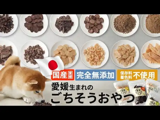 【クレア株式会社】 迷惑者が人気者に！？ 鹿・猪の“未利用資源”を活かした愛媛県産無添加ペットおやつ「道後もぐもぐ」を発売いたします。- 愛媛県で深刻化する獣害問題への貢献をめざすサステナブルおやつ -