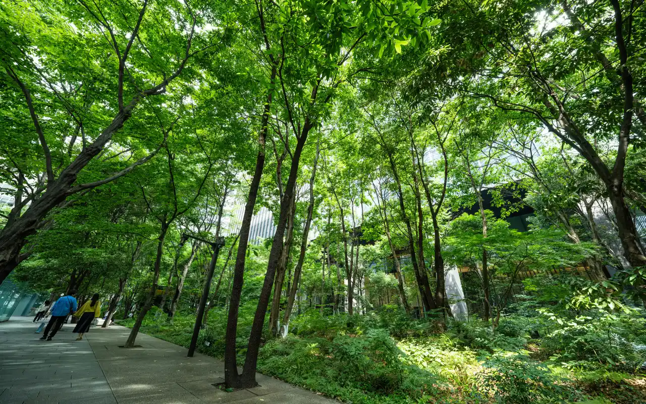 【東京建物株式会社】 大手町タワー（大手町の森）が第６回グリーンインフラ大賞「国土交通大臣賞」を受賞　「都市における自然環境の再生」を目指し続けた12 年の歩みが評価