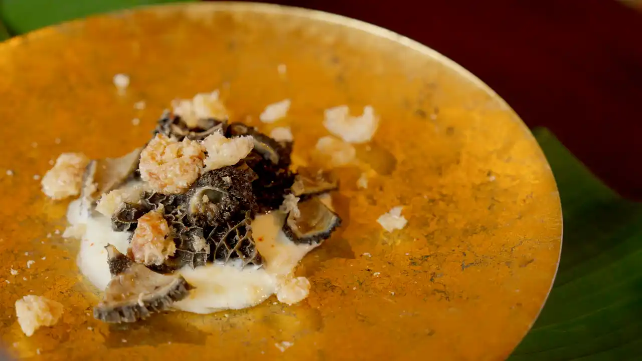 【沖縄県モニターツアー】生命力あふれる、美味なる島の恵みをあなたのエネルギーに。「いのちよろこぶ沖縄美食旅」