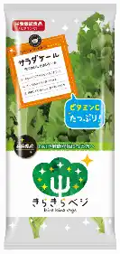 【日本山村硝子株式会社】 植物工場野菜 きらきらベジ 第14回「外食ソリューションEXPO ～ミートフードショー～ 焼肉ビジネスフェア2025in 大阪」出展のお知らせ