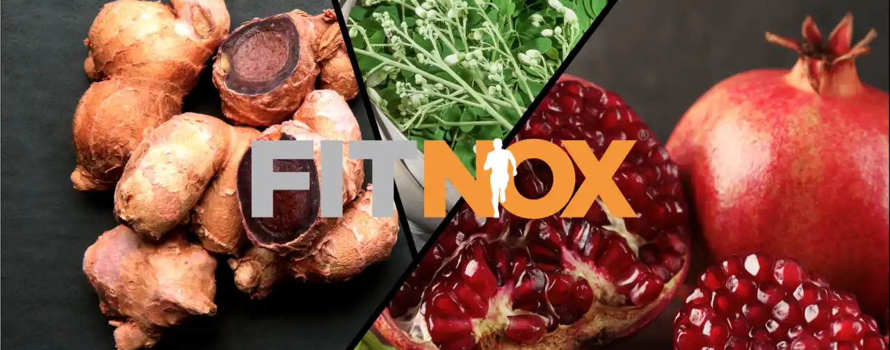 【株式会社アルファメイル】 60分でNO増加率336%を実現する「フィトノックス」を日本初採用