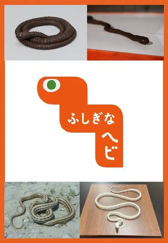 自在置物のヘビが動き出す！文理融合型の展示キット「ふしぎなヘビ」貸し出し申し込みの募集を開始いたします