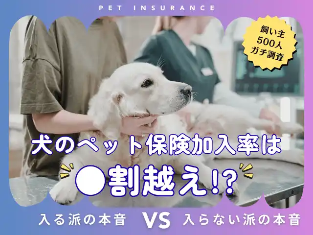 【株式会社エイト】 【飼い主500人に調査】犬の保険加入率は驚きの●割超え！「もしも」に備える人が急増中