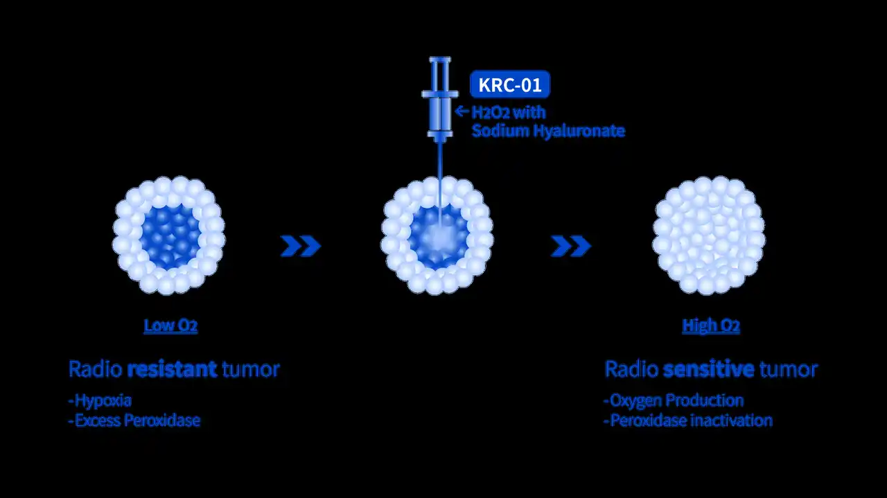1982インパクトファンド、ソーシャルビジネス出資を実施
