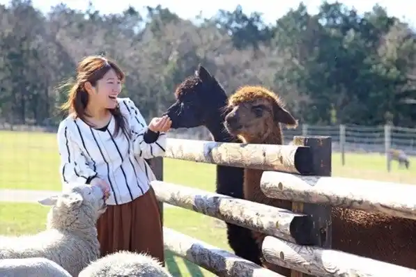 【JAF千葉】JAFデーinマザー牧場～マザーファームツアーDX乗車確約＆ジャム作り体験～を開催！