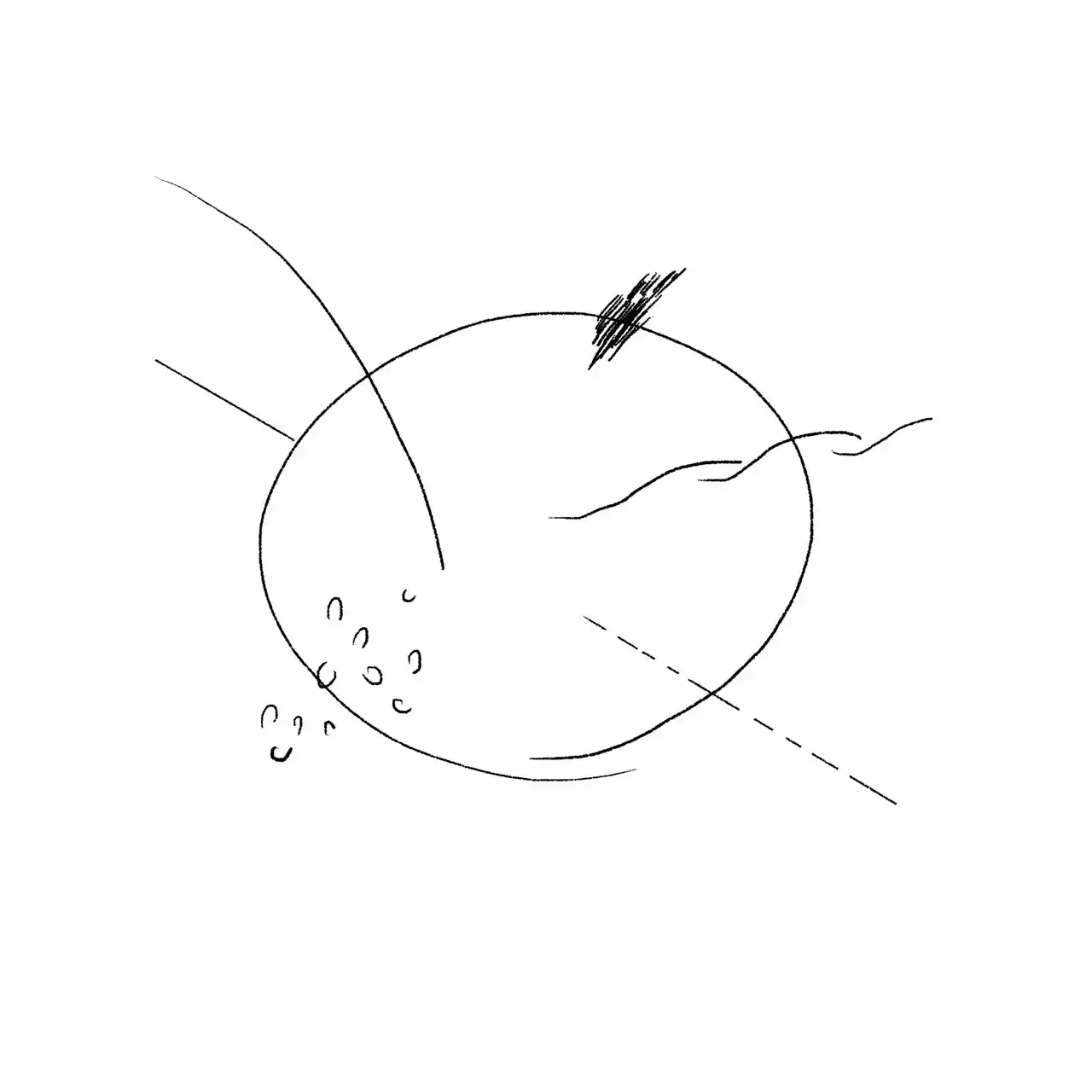 【株式会社SIGNING】 風景と食設計室ホーによる虎ノ門のかつての風景と足元の世界を手がかりに、ひと粒から広がる物語を紡ぐインスタレーション『帰り道、今夜の夕食について考えながら』展開催