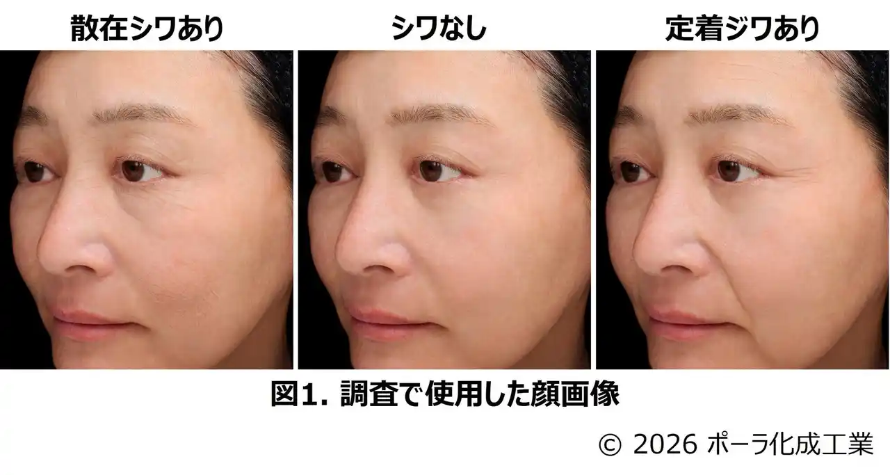 【ポーラ・オルビスHD】 「散在シワ」と「定着ジワ」では肌やその人の印象に及ぼす影響が異なることを発見
