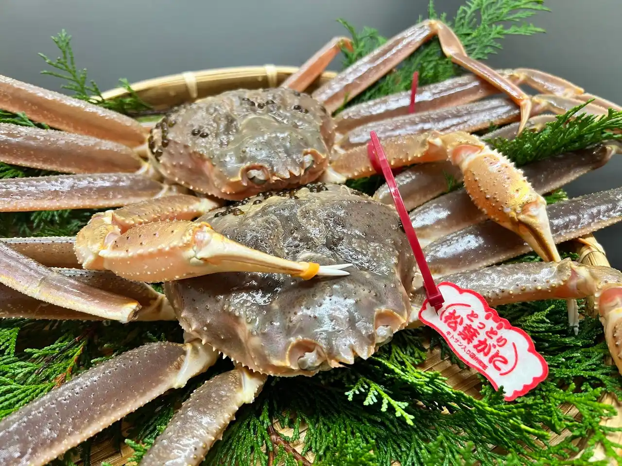 【GLIONグループ】 【ブランナールみささ】山陰冬の味覚の王様「ズワイガニ料理」を各種ご用意──2026年1月5日（月）～3月31日（火）までの平日限定で「かにすき鍋プラン」をラドン鍋フェスポッキリプライスでご用意！