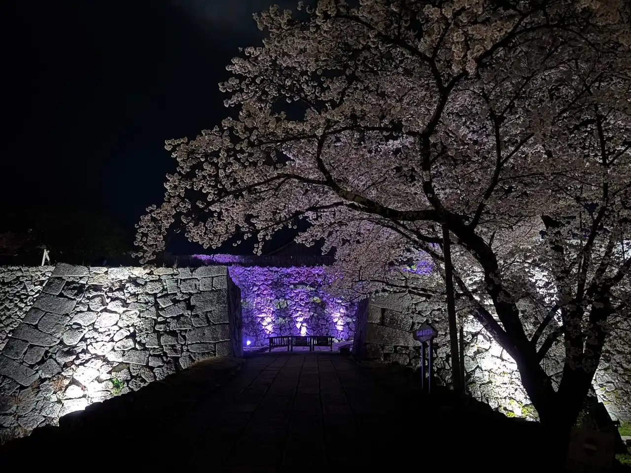 【丹波篠山市】 夜の丹波篠山をもっと楽しもう！丹波篠山ライトアップ応援プロジェクトクラウドファンディング