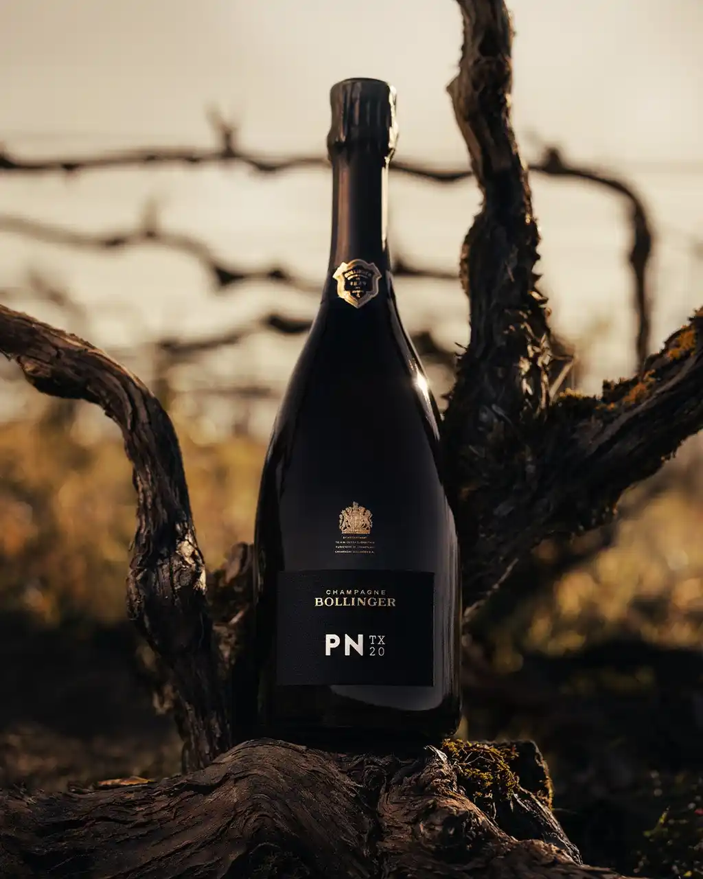 【WINE TO STYLE株式会社】 シャンパーニュ・ボランジェ　プレステージ・シャンパーニュ、“PN TX20”発売のお知らせ