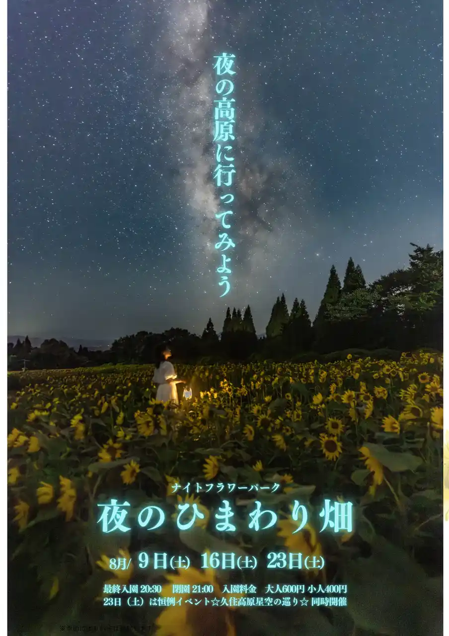 初開催　夜の高原体験！「ナイトフラワーパーク」 5万本のひまわりライトアップ