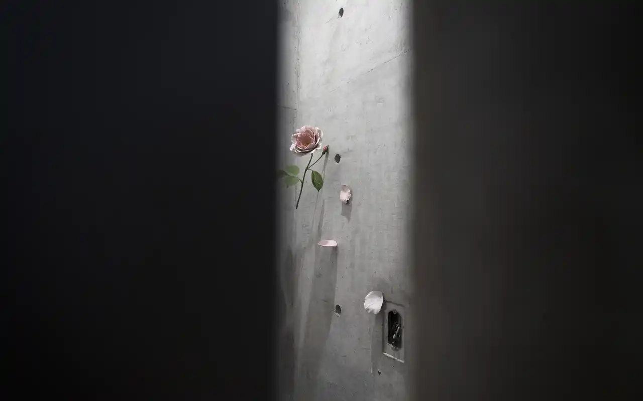 ベネッセハウス ミュージアムおよびパークにおける展示替えのお知らせ